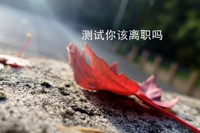 测试你该离职吗 离职应该注意哪些事项49770