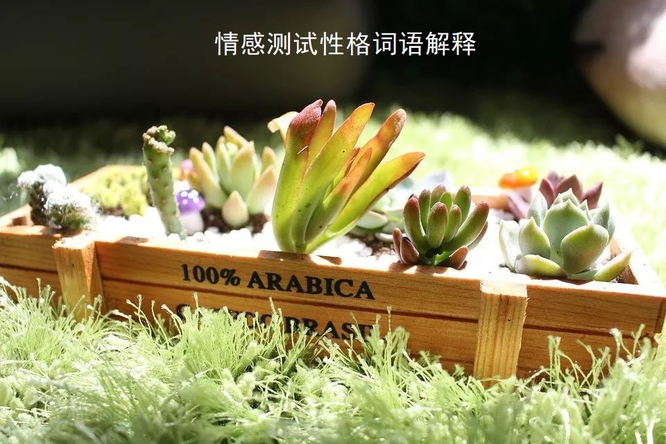 情感测试性格词语解释46964