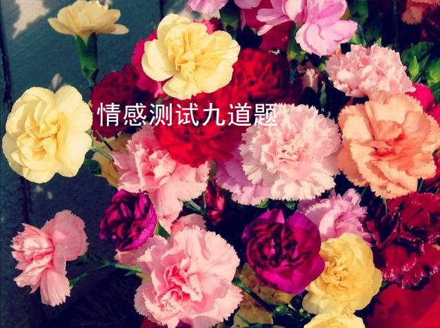 情感测试九道题46984