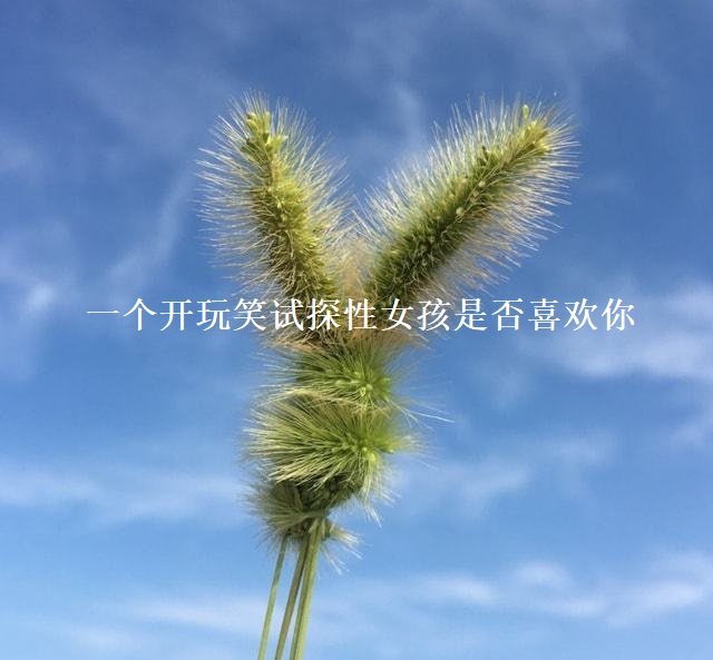 一个开玩笑试探性女孩是否喜欢你 女孩喜欢你的征兆48625