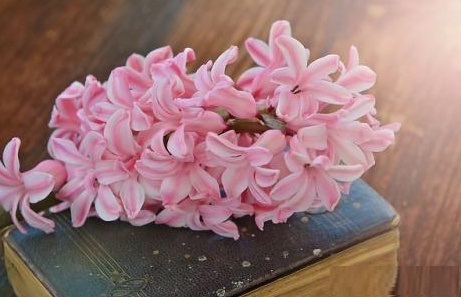 情感测试选花46801
