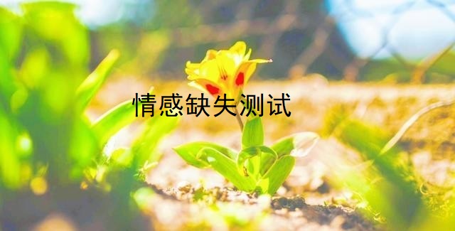 情感缺失测试45572