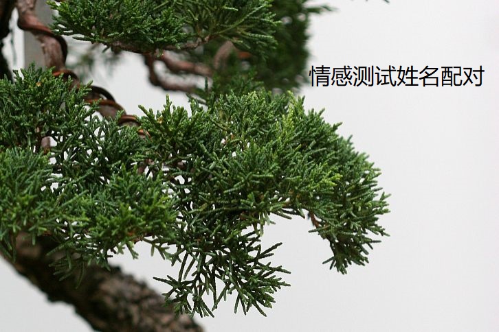 情感测试姓名配对45576