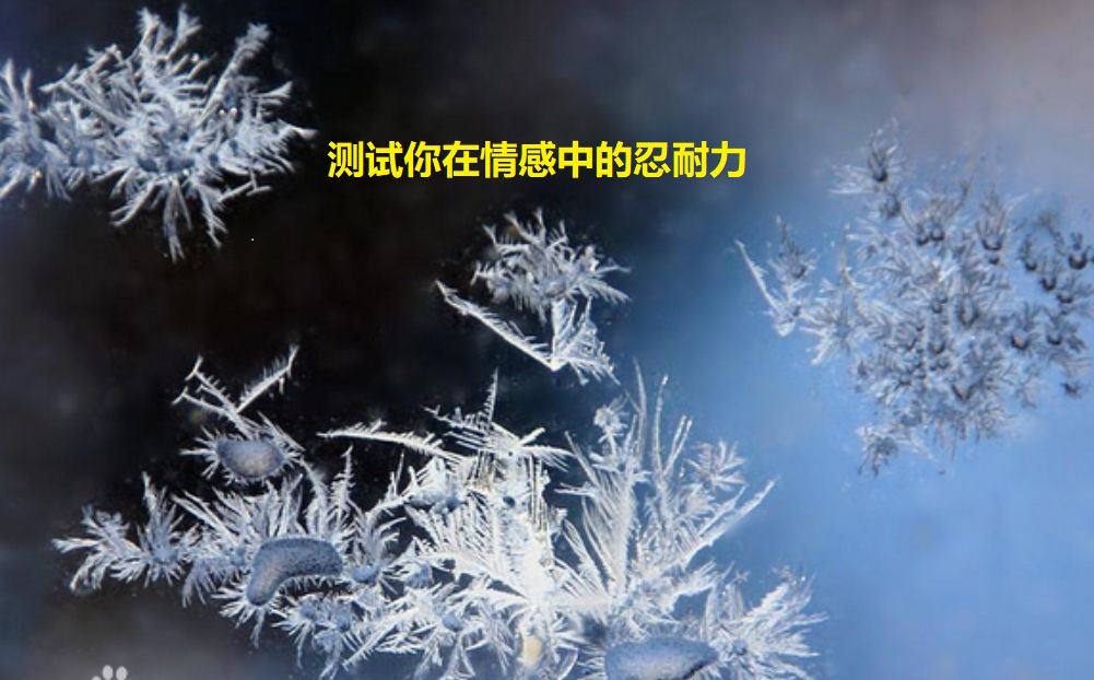 测试你在情感中的忍耐力45615
