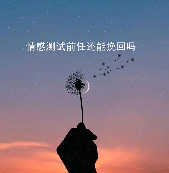 情感测试前任还能挽回吗45541