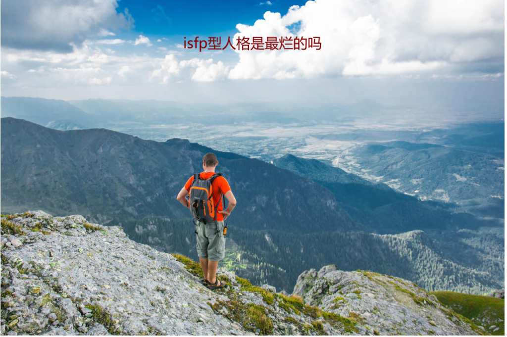 isfp型人格是最烂的吗 isfp一般是什么星座53597