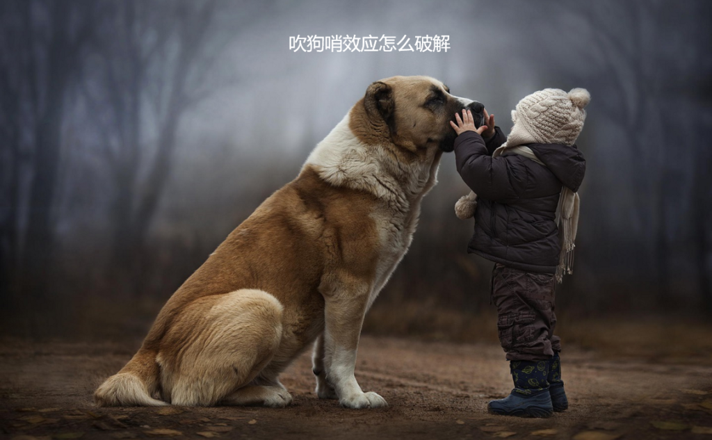 吹狗哨效应怎么破解 吹狗哨式效应该怎么摆脱49112