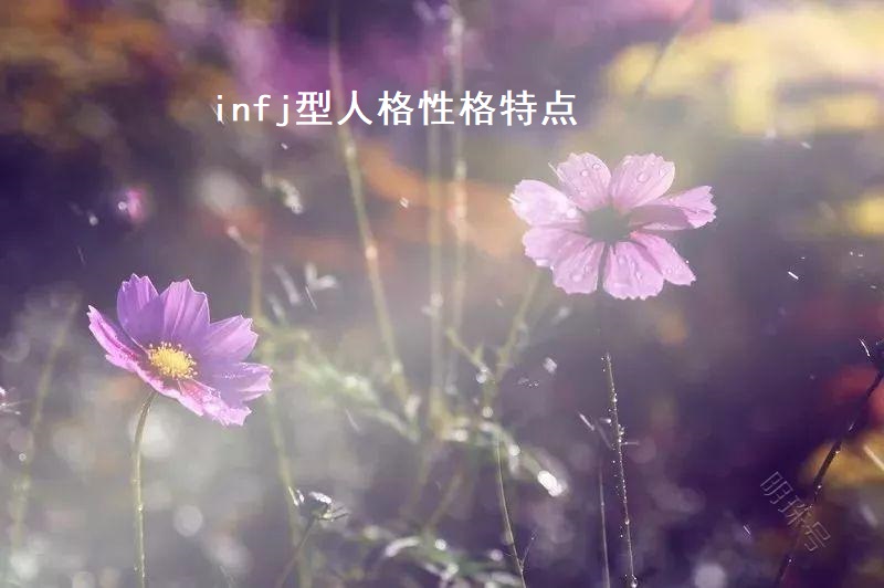 infj型人格性格特点 infj型人格适合的伴侣51785