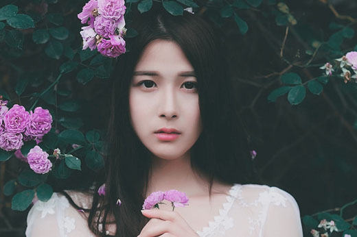 圣诞节送什么花