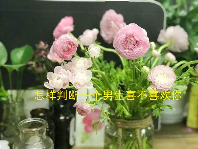 怎样判断一个男生喜不喜欢你 喜欢一个人是什么感觉48557