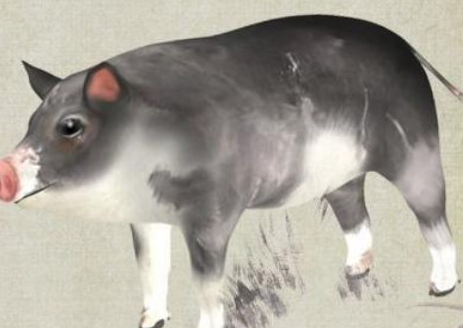 1644561225343520.png image.png