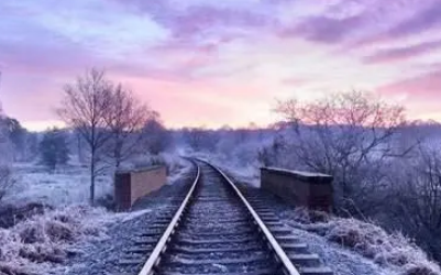 如何反击男人的弃猫效应 弃猫效应是什么70550