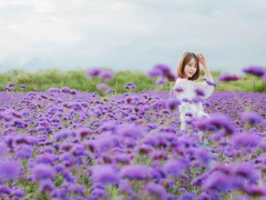 放低自身姿态,仰视他的高大