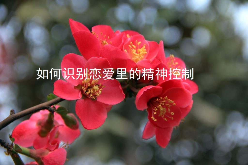 如何识别恋爱里的精神控制45518