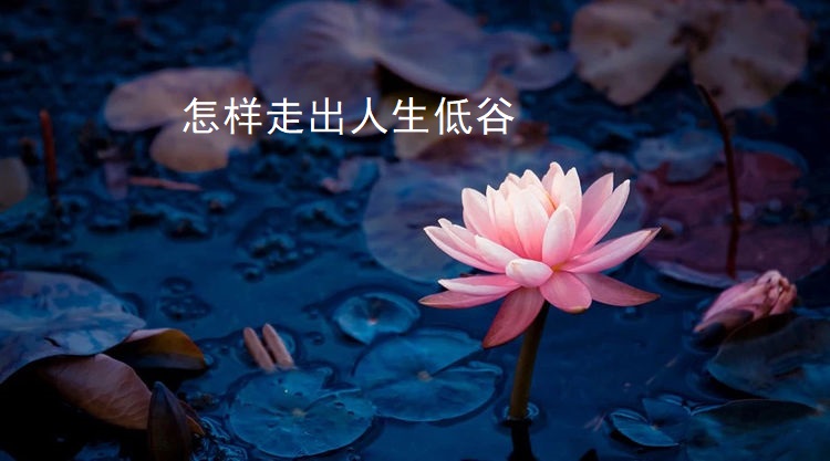 怎样走出人生低谷45547