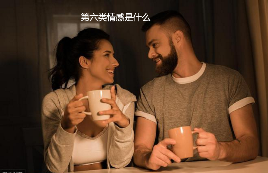 第六类情感是什么 六种情感分类46867