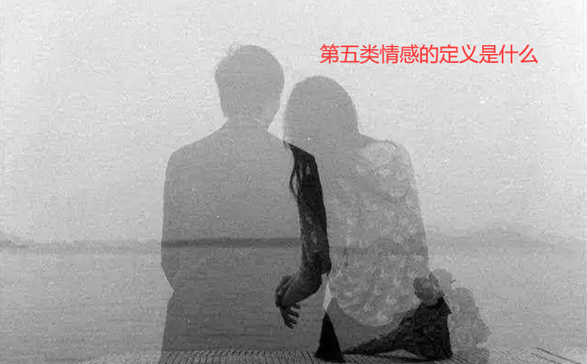 第五类情感的定义是什么46807