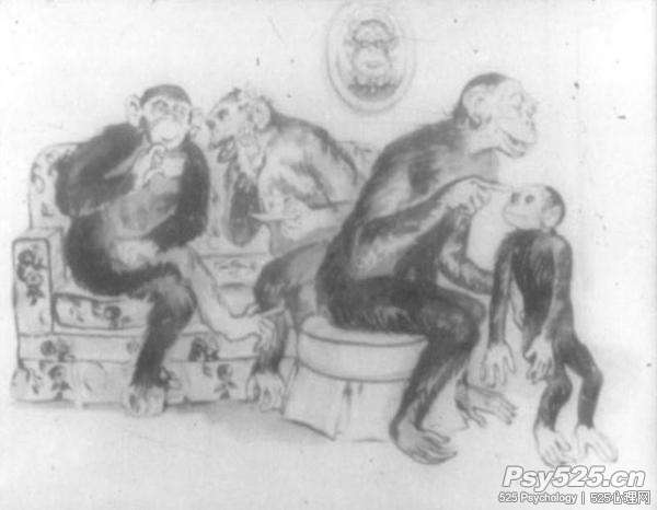 主题统觉图片