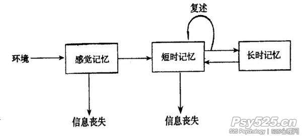 记忆分为三种记忆系统，或三个信息加工阶段，即瞬时记忆（感觉记记）、短时记忆和长时记忆