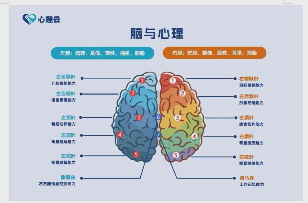 大脑与心理的关系