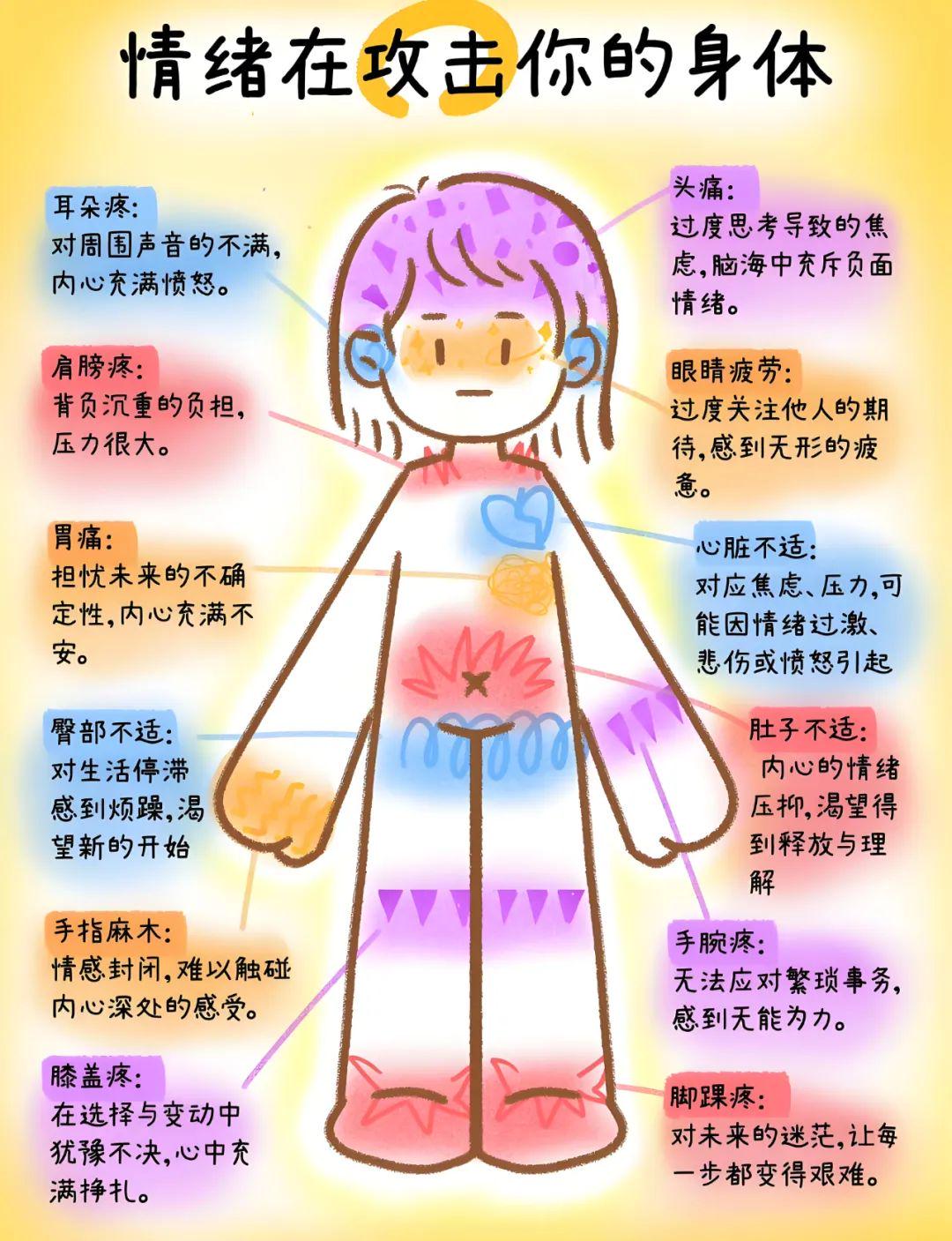 02 情绪伤害的身体地图