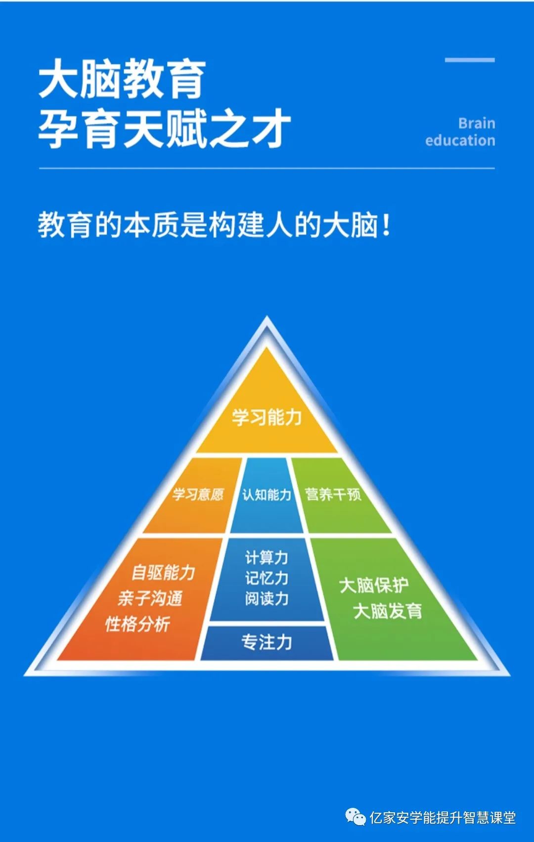 教育的本质是构建人的大脑