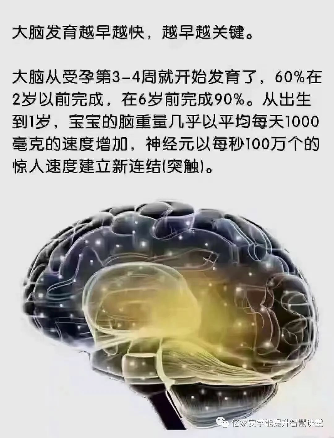 6岁前孩子的大脑细胞数量是成人的90%