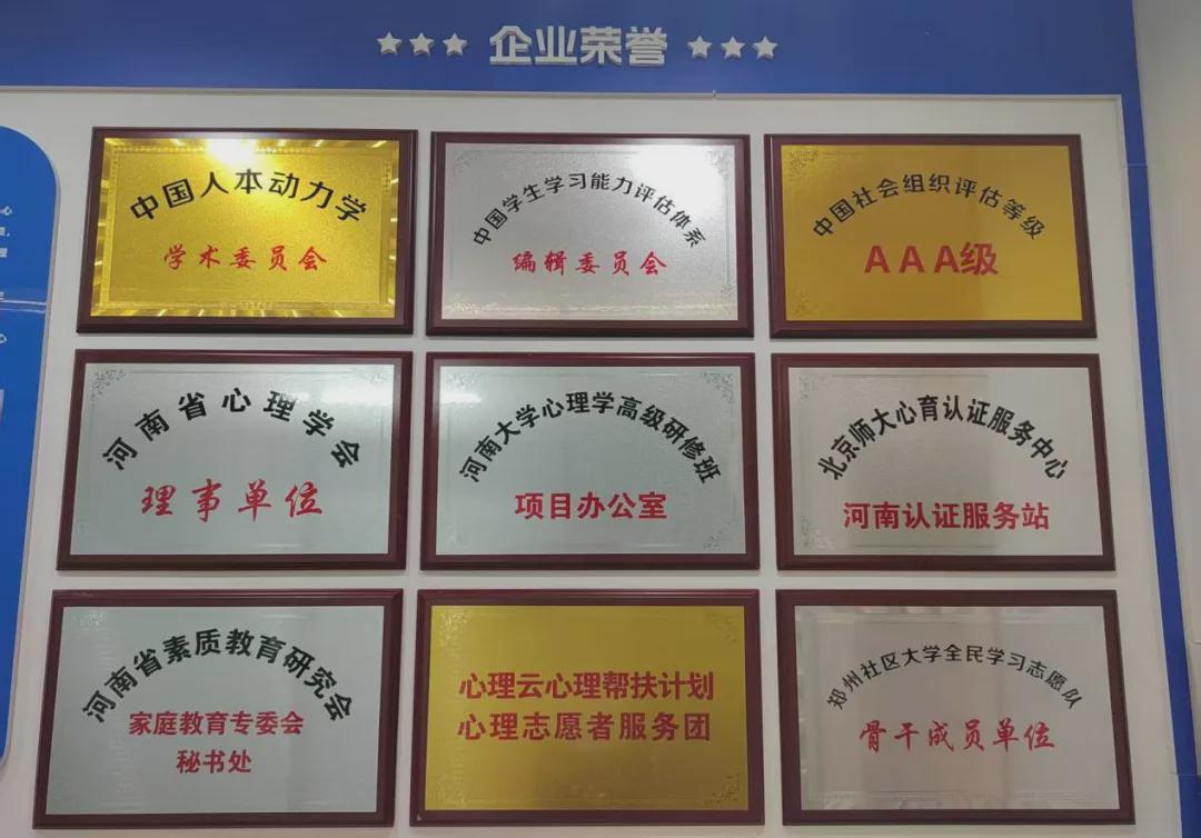 心理云脑力馆荣誉