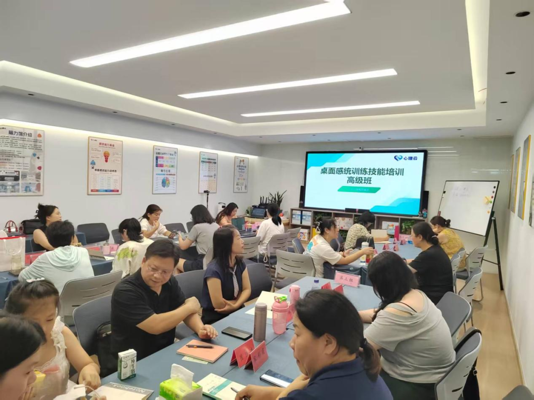 桌面感统训练技能培训高级班