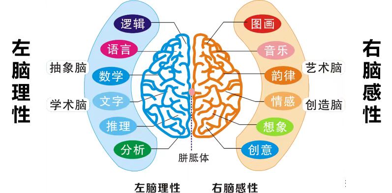 儿童专注力时间对照表