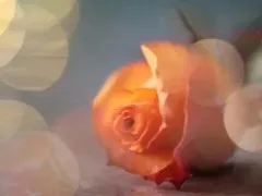 一个人突然开始怀念以前